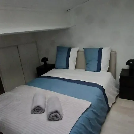 Cocon Centre Historique - Duplex Cosy Et Lumineux شقة كليرمونت-فيراند