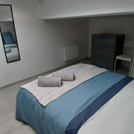 شقة Cocon Centre Historique - Duplex Cosy Et Lumineux كليرمونت-فيراند