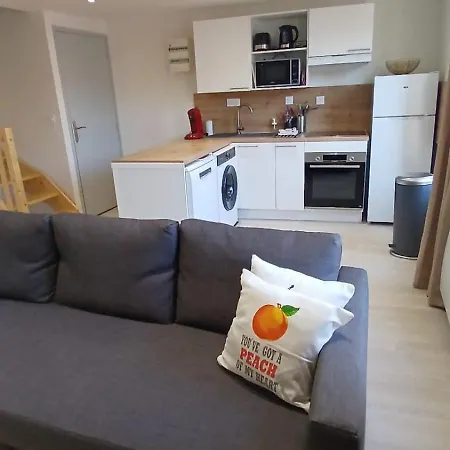 Cocon Centre Historique - Duplex Cosy Et Lumineux *